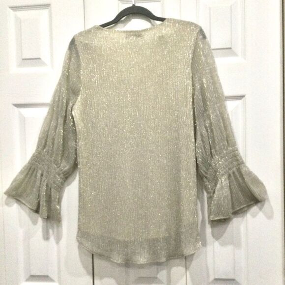 Alfani  V-neck shimmery silver top fully lined body sheer Victorian Sleev… - Picture 3 of 6